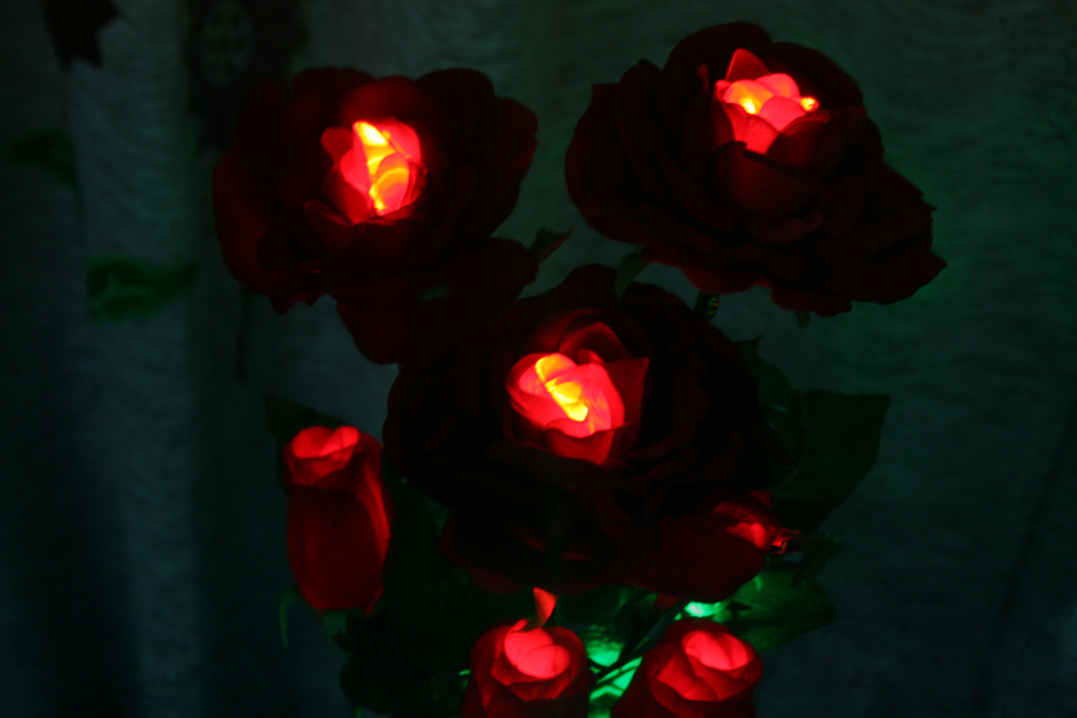 Bunga Hias Lampu Mawar Merah Agustus 12, 2012